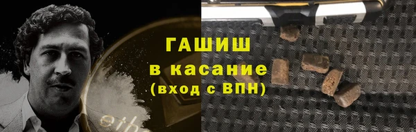 гидра Арсеньев