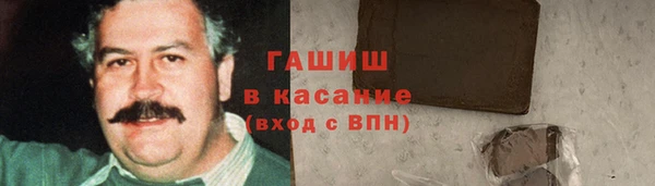 гидра Арсеньев