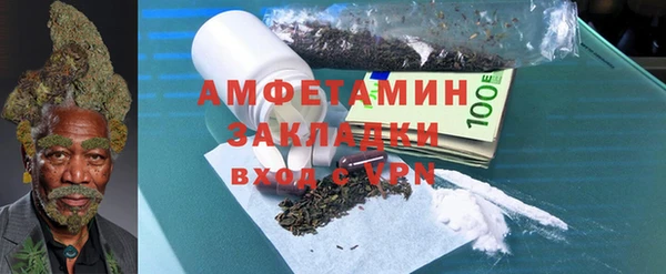 гидра Арсеньев