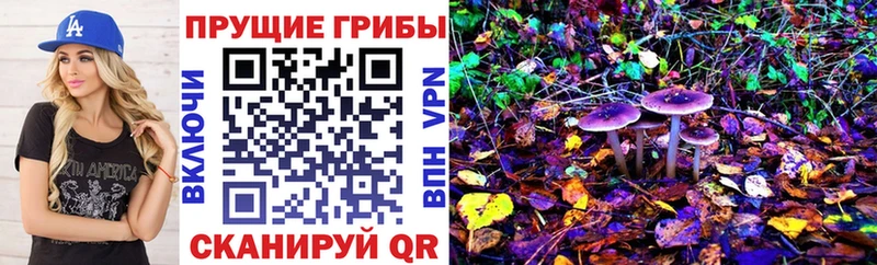 Псилоцибиновые грибы мицелий  KRAKEN ссылка  Строитель 